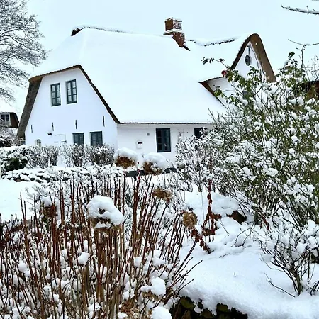 Haus Marschblick * Midlum (Schleswig-Holstein)